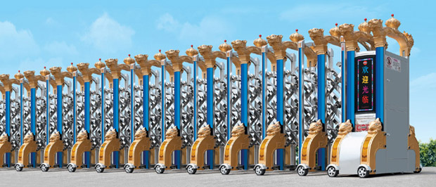 STP-01